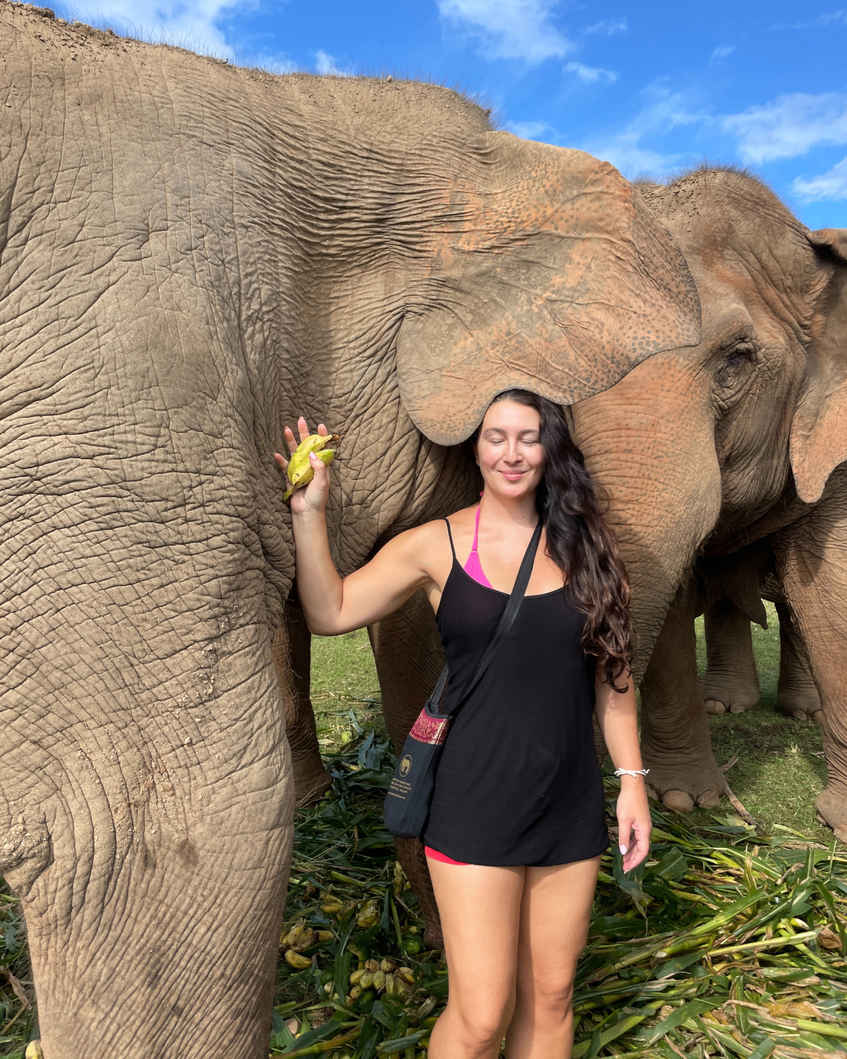 Shannon Smith connecting with elephants — keynote speaker on neuroscience and connection